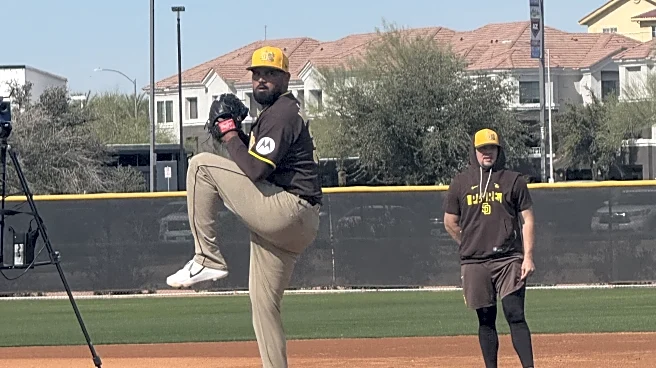 Padres’ late rally comes up short versus Cubs