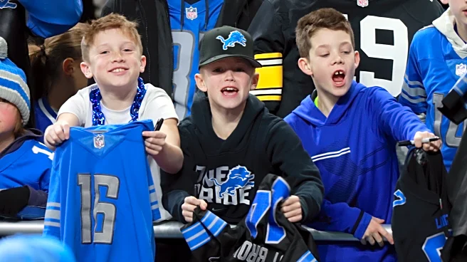 How did you become a Detroit Lions fan?