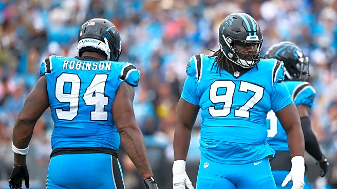 Adding Teeth to the Bite: Panthers Roster Holes on the Interior Defensive Line