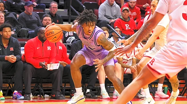 Wednesday Dots: Back from the Swamps of Jersey