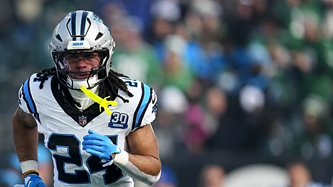 Rising Stars: Offensive contributors