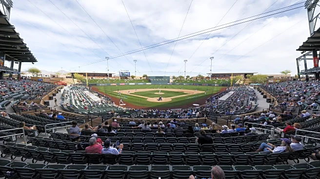 Purple Row After Dark: What’s your biggest takeaway from the first week of spring training games?