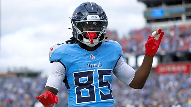 NFL Free Agent Profile: TE Chig Okonkwo