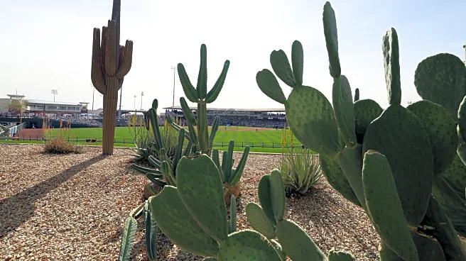 Arizona Diamondbacks Spring Training Gameday Thread, #7 @ Kansas City Royals
