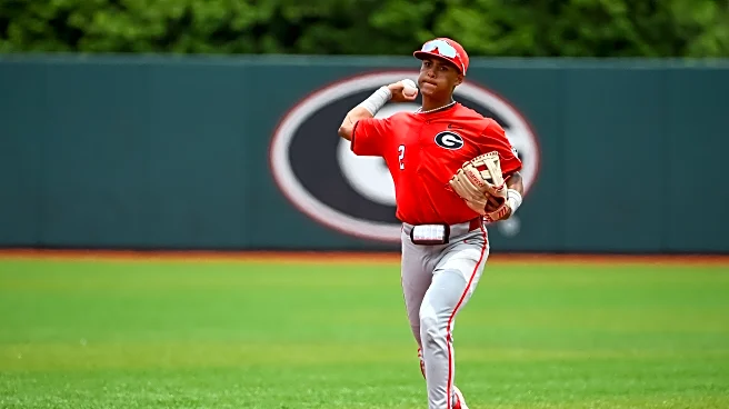 Diamond Dawg Weekly Recap