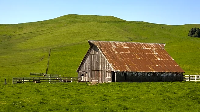 The Link Farm: 2.27.26