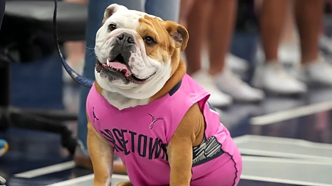 GAME THREAD: Georgetown at Xavier