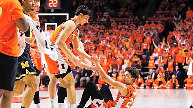 No. 10 Illinois fall to No. 3 Michigan behind sold out crowd