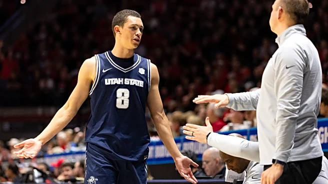 Mountain West Reacts Results: 1-bid league, conference tournament champion.