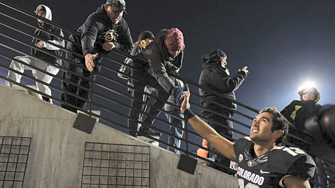 Why I love college sports