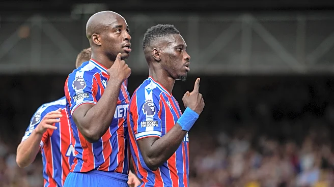 Crystal Palace’s Striker Emerges as Potential Newcastle Target