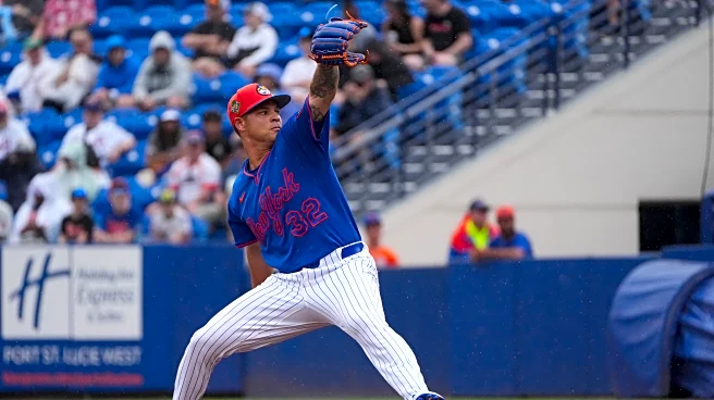 Grapefruit Juice: Nationals 3, Mets 2
