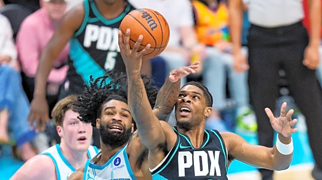 Rebounds, Threes Doom Portland in Charlotte