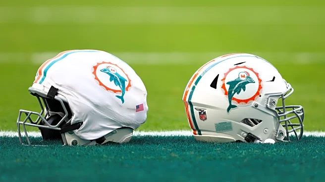 Miami Dolphins Fans Share What Scares Them The Most