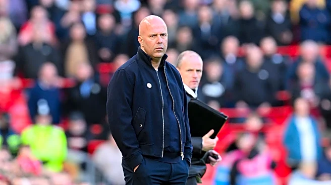 Slot: Wolves Tilts “Too Early” For Wirtz Return