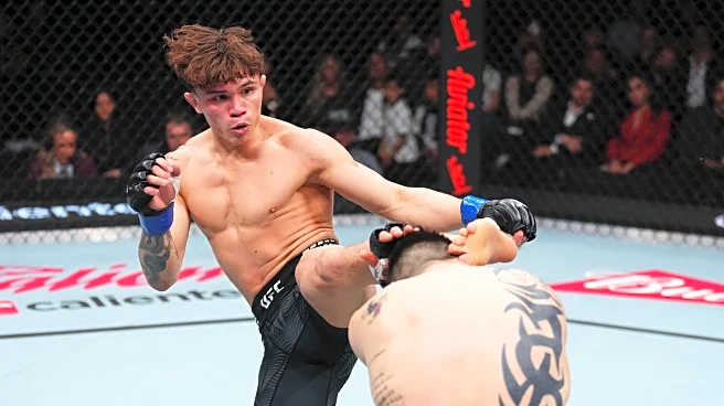 UFC Mexico City results: Sooo … About last night | Moreno vs. Kavanagh