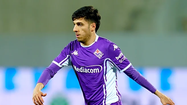 Udinese vs Fiorentina: Preview