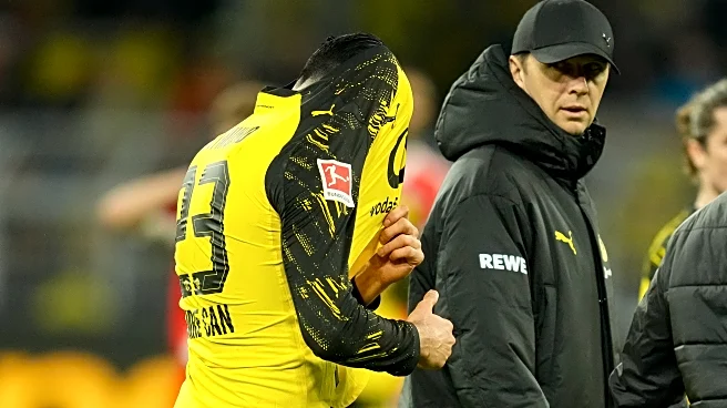 The Daily Bee: Well, That’s That Then.