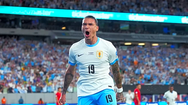 Newcastle Linked to Former Liverpool €85 Million Forward