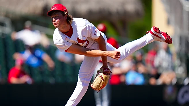 St. Louis Cardinals Just Trimmed 11 Players Off Spring Training Roster
