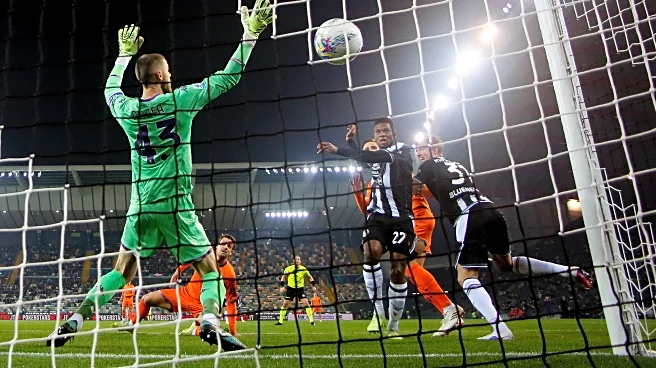 Udinese 3-0 Fiorentina: Match report