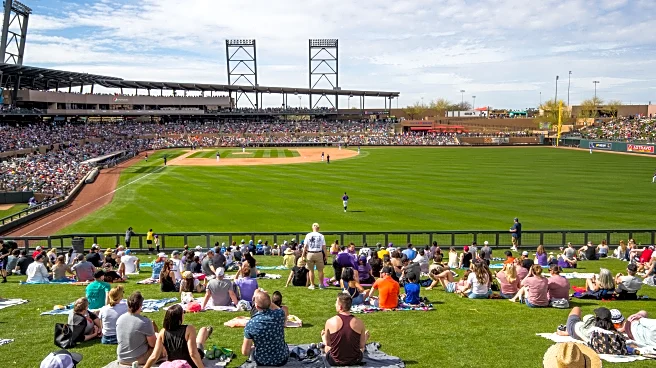 Is spring training becoming too expensive?