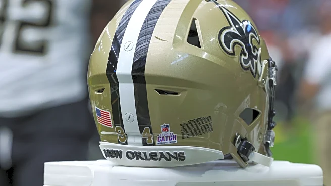 SB Nation Reacts Survey: What is the most important position that the Saints need to address in free agency?