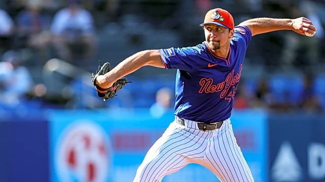 Grapefruit Juice: Mets 5, Israel 2