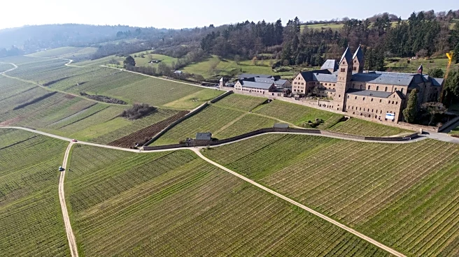 The Daily Hilario: Thursday