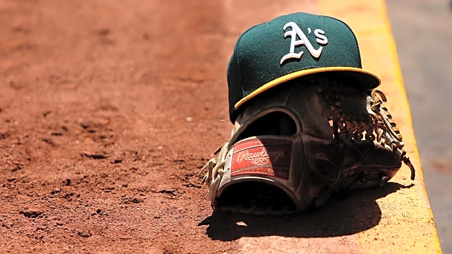 Elephant Rumblings: WBC and More