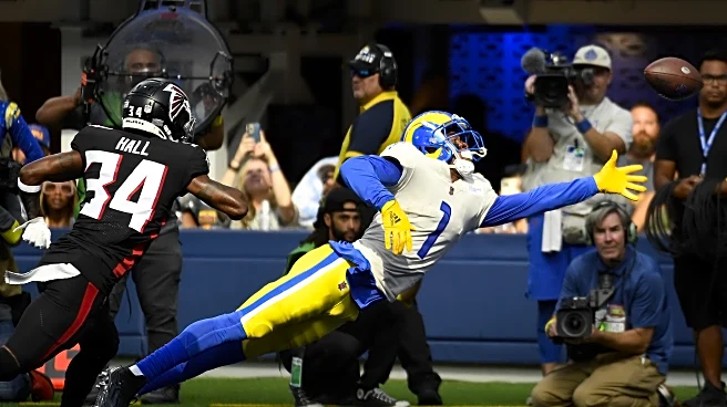 Allen Robinson ranked top-20 in all-time free agent busts