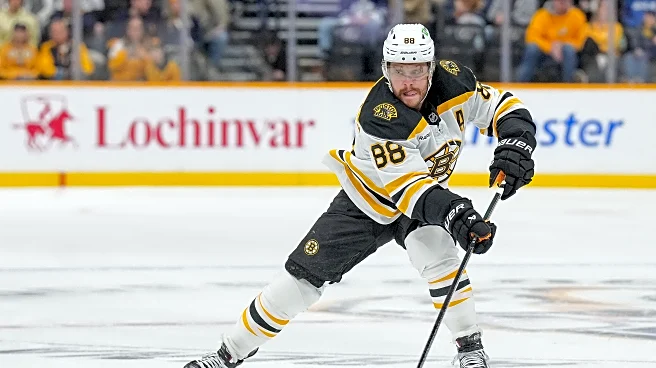 Public Skate: Bruins vs. Predators