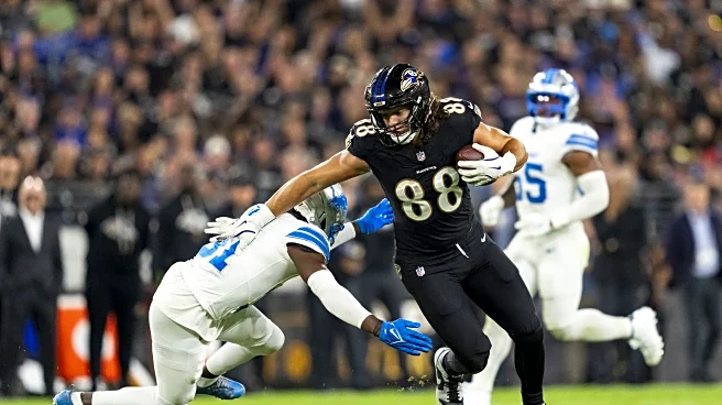 Detroit Lions free agency: Bargain bin options at RB, WR, TE