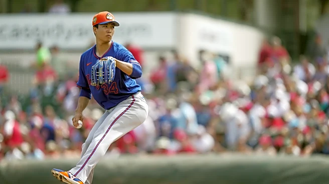 Grapefruit Juice: Mets 3, Cardinals 2