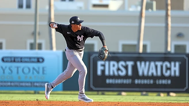 Yankees’ C-team lineup blanked by Nats on sleepy spring night