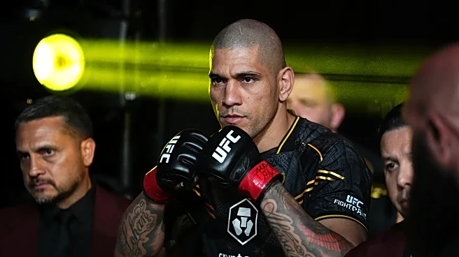 ‘LOL that’s it?’: Pros react to UFC White House fight card announcement