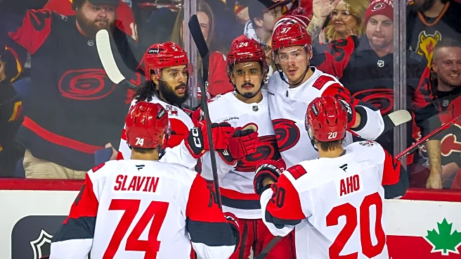 Bussi stickhandling errors cost Carolina, fall to Calgary 5-4