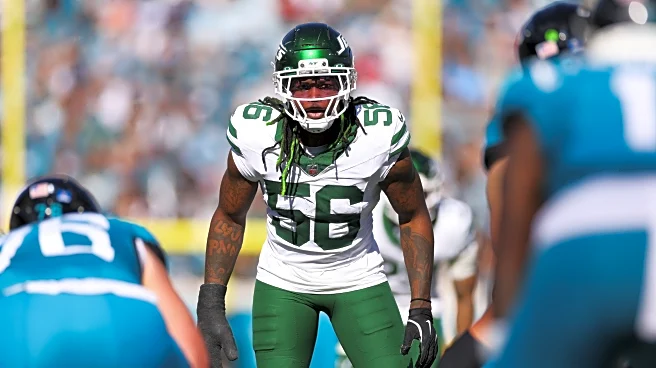 Detroit Lions free agency preview: Top linebacker available, best fits