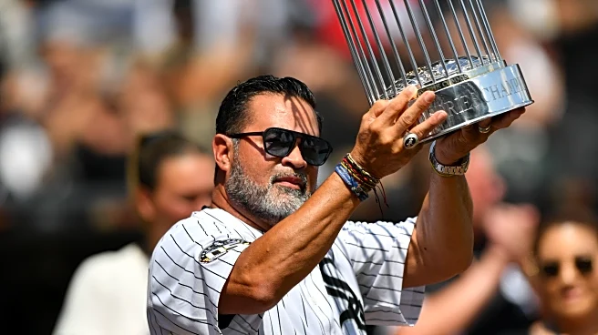 The White Sox will win the World Series!