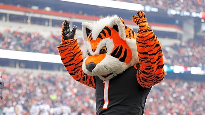 NFL free agency tampering Day 1 open thread and Bengals news