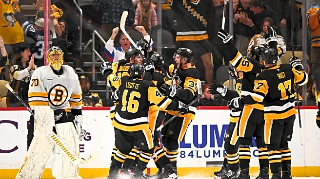 NHL Standings: With (About) 20 to go, the season hits a crucial point