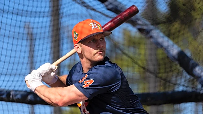 Astros Prospects Spring Training Standouts