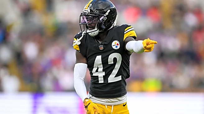 Pittsburgh Steelers top free agent signing with Minnesota Vikings