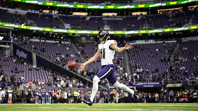 Giants to make ex-Raven Jordan Stout highest-paid punter in NFL history