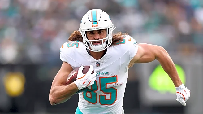 2026 NFL Free Agency | Miami Dolphins re-sign TE Greg Dulcich