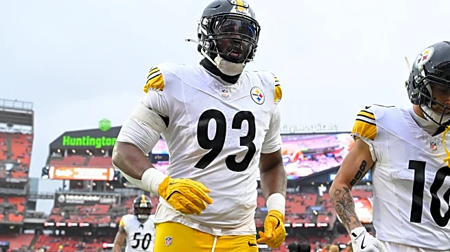 Steelers bring back depth DL