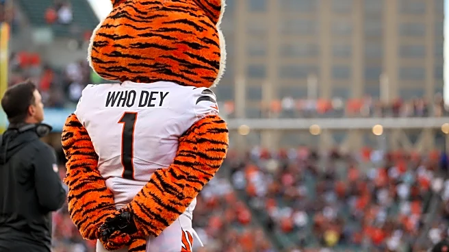 Bengals NFL Free Agency tracker