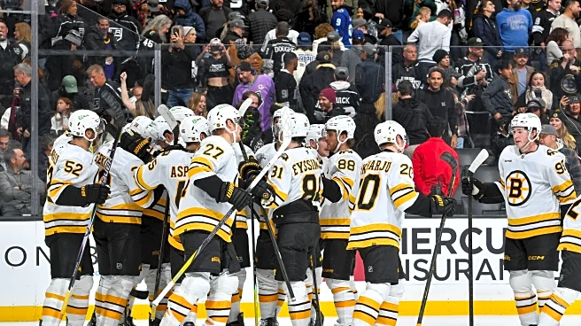 Public Skate: Bruins vs. Kings