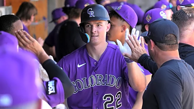 The Rockies can use a consistent DH and a versatile bench for improvement and evaluation