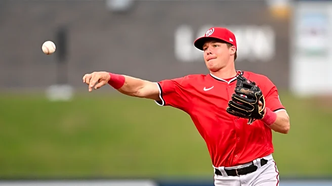 What I saw on the Washington Nationals back fields